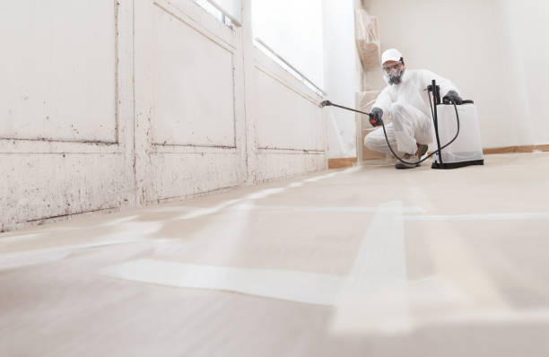 24/7 Emergency Mold Remediation experts in Jericho, NY